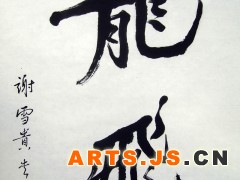 龙飞
