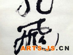 龙飞