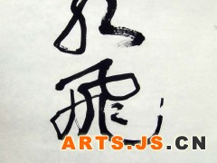 龙飞