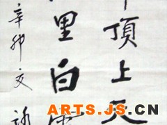 闲游华顶上，日朗昼光辉。四顾晴空里，白云同鹤飞。